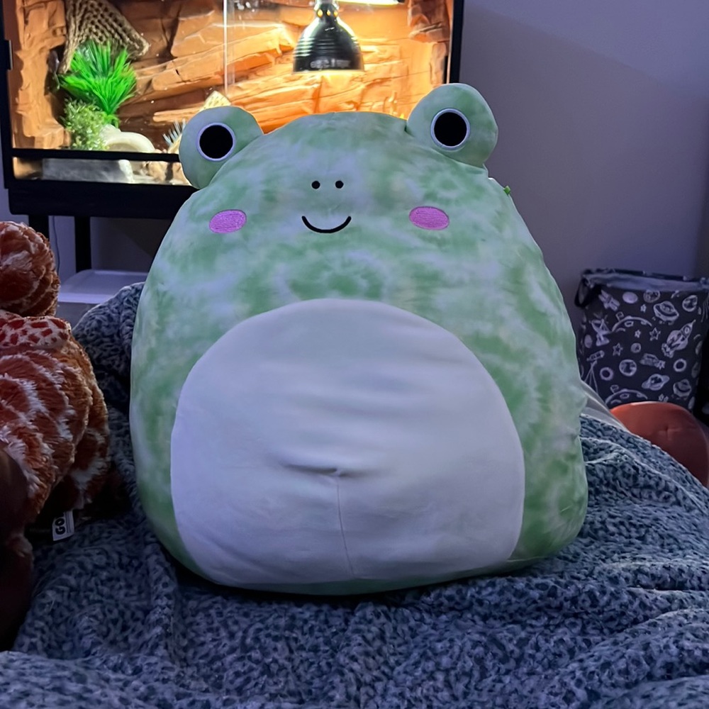 Squishmallow (No tags)